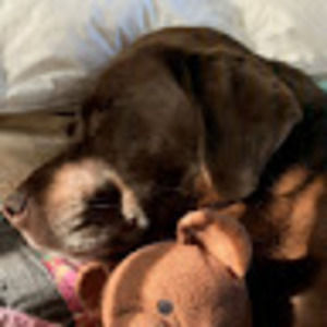 Meet your Posher, Julie